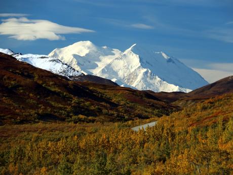 Denali National Park in fall