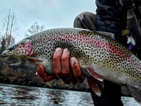 Gotta Love Chunky Rainbows