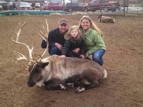 Reindeer Farm 1