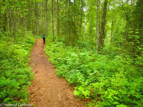 Talkeetna Lakes Hike