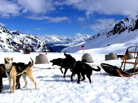 Glacier dogs