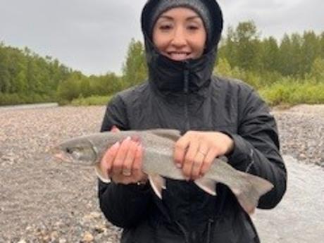 26