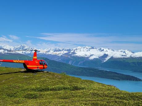 Flightseeing