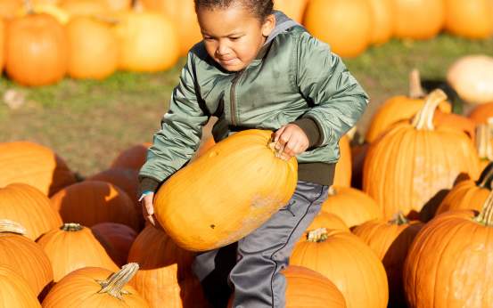Boy at Roba Family Farms