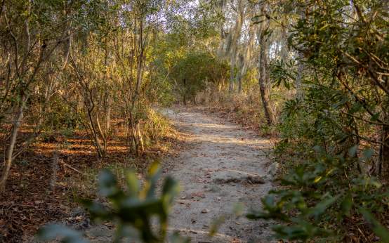 Goose Creek State Park