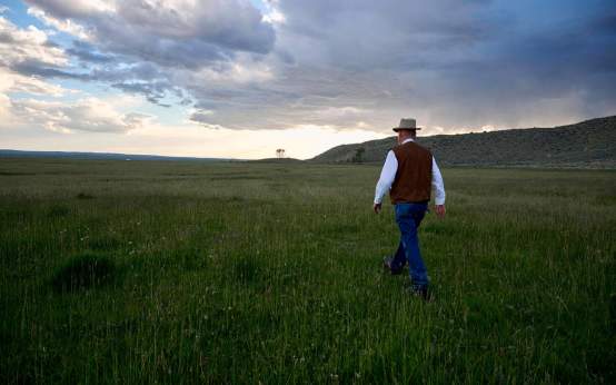 Tim Trites walking through field