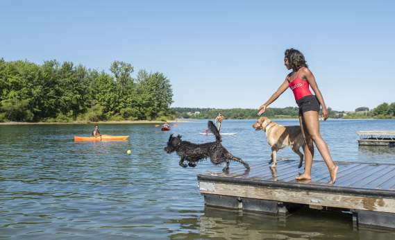 Codorus State Park