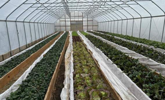 Sustainable Businesses in York County, PA