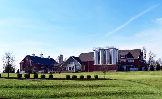 Wyndridge Farm