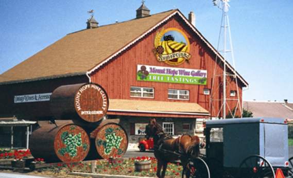 Rumspringa Brewing Company