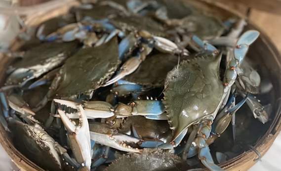 Dottie's Crab Shack