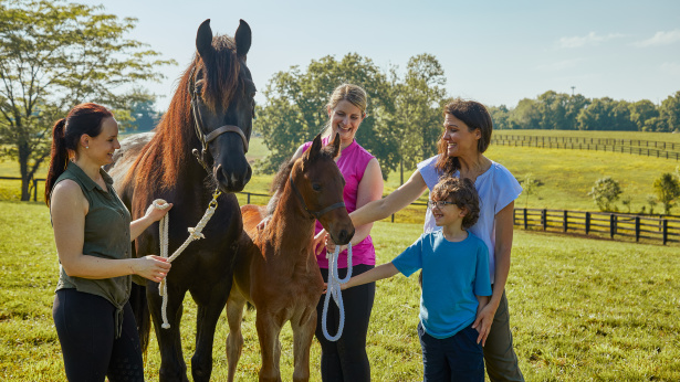 ShelbyKY: Crossroads of the Saddlebred Capital of the World and the Kentucky Bourbon Trail®