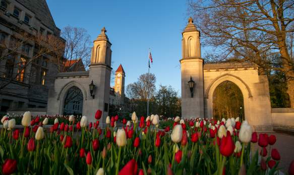 sample gates spring