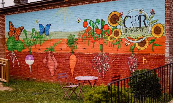 From Field to Fork: Experience York County's New Farm-to-Table Restaurant in Clover, SC
