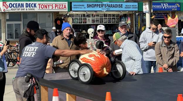 Sunfest Fall Activities