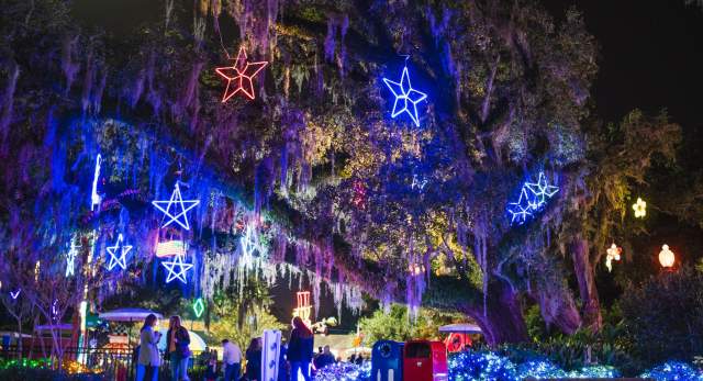 Celebration in the Oaks