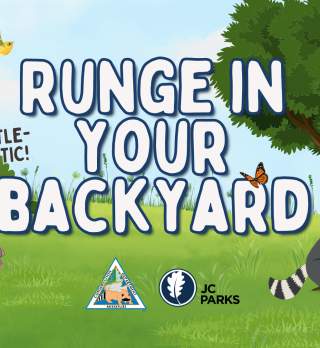 Runge in Your Backyard &#8211; Turtle-tastic!