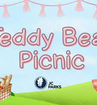 Teddy Bear Picnic