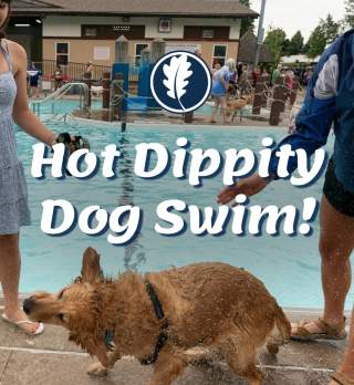 Hot Dippity Dog Swim