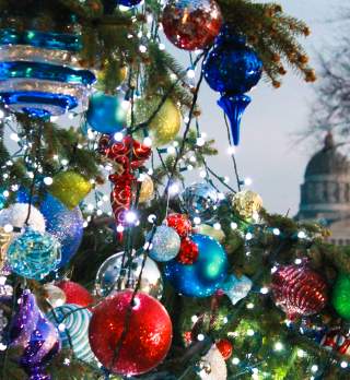 Mayor's Christmas Tree Lighting