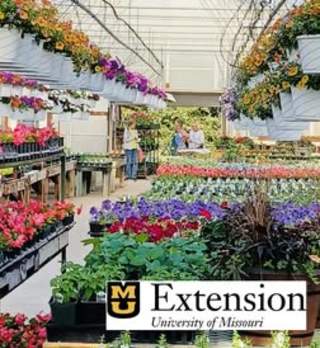 Central Missouri Master Gardeners Plant Sale