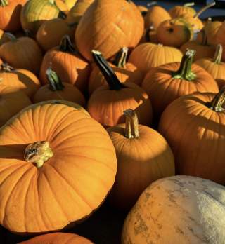 Lincoln University Farmers Market