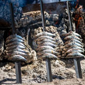 Where to Eat in Benalmádena