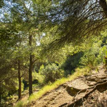 Naturaleza en Benalmadena