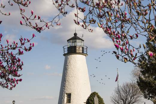 Lighthouse Springtime