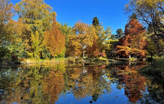 Queenstown Gardens with Adele Heidenreich