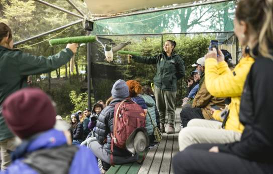 The Conservation Show at Kiwi Park Queenstown
