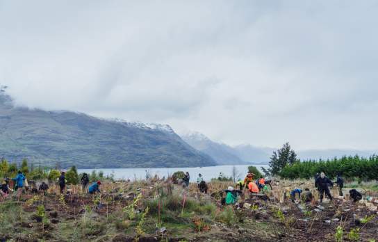 Love Queenstown Industry Planting Day