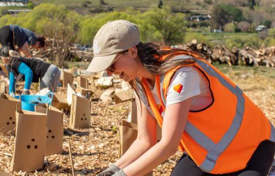 Volunteers helping plant thousands of native trees at Love Queenstown's Lake Hayes Tourism Planting Day