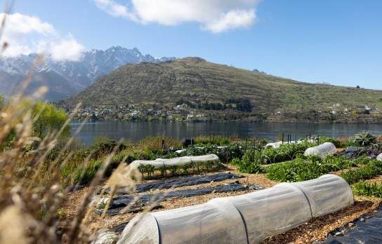 Sherwood vegetable garden overlooking Lake Whakatipu and The Remarkables in Queenstown