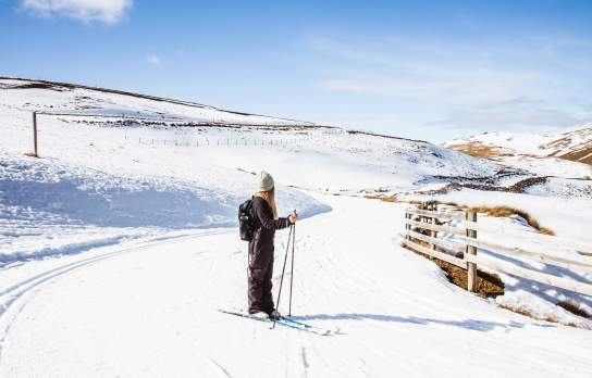 Perfect Cross Country Skiing Conditions at the Snow Farm