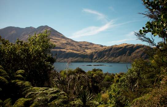 Looking out over Lake Wānaka from Mou Waho Island on a calm day.