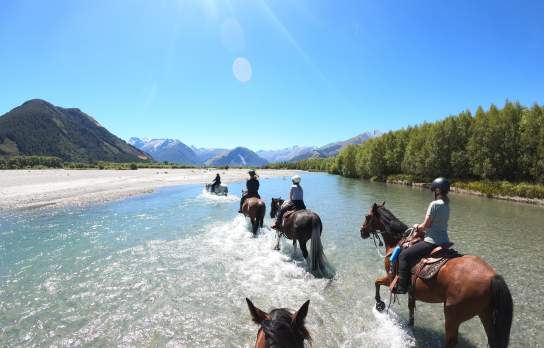 Horse riding in Glenorchy, Lighthorse Adventures