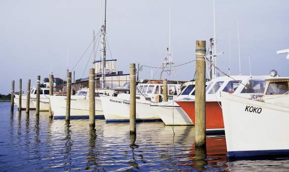 Fishing Boats