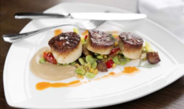 Scallops-Food