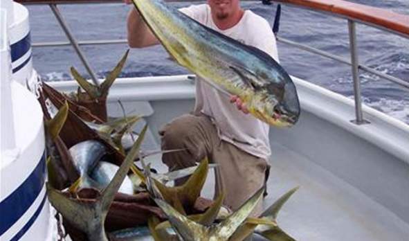 Balboa/Newport Beach Sportfishing Trips - Newport Landing