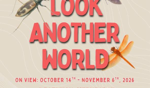 Another Look, Another World (Insect Art) Exhibition