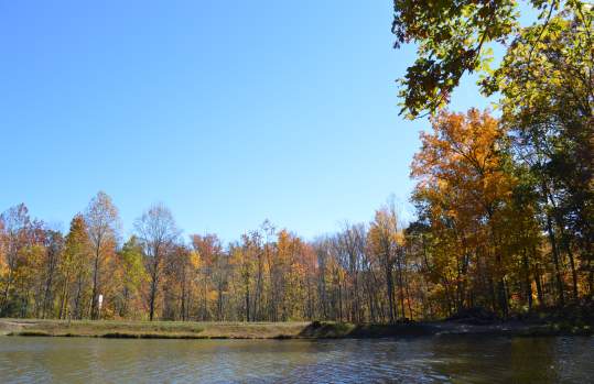 Locust Shade Park