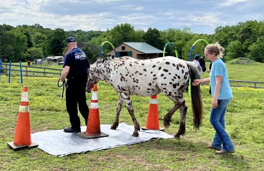 Equine Connection Center