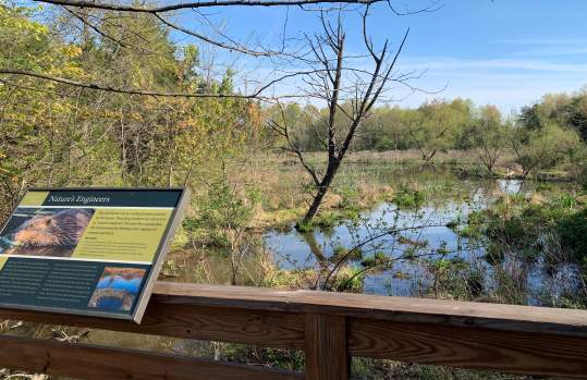 Leopold's Preserve
