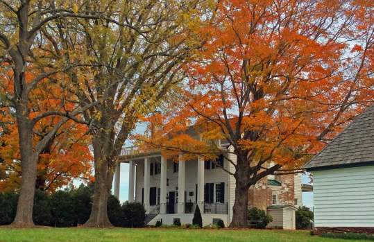 Effingham Manor Winery