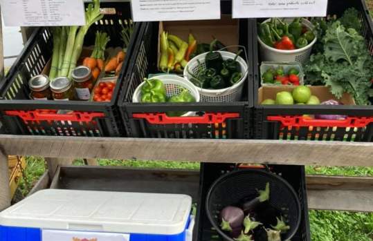 Moose Acres Farm Stand