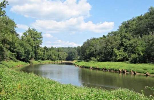 Dove's Landing