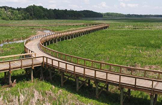 Neabsco Creek Boardwalk
