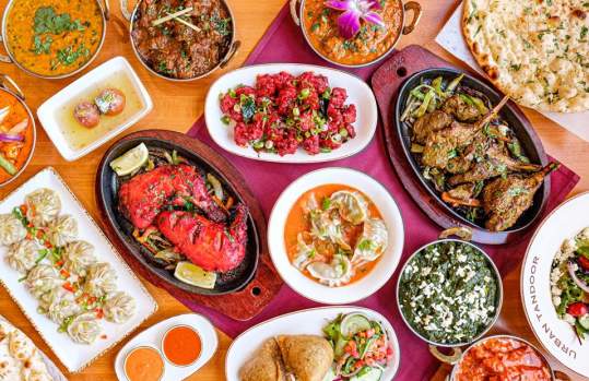 Urban Tandoor - Gainesville