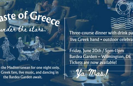 Greek Night At The Bardea Garden